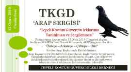Arap Sergisi